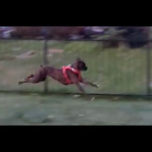 Meet your Posher, Sharon